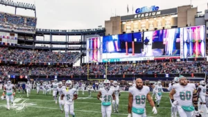 miami dolphins vs new england patriots match player stats